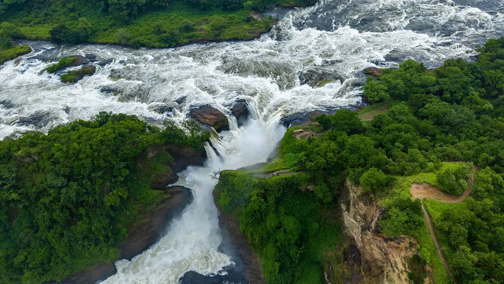 Safari journeys across East Africa