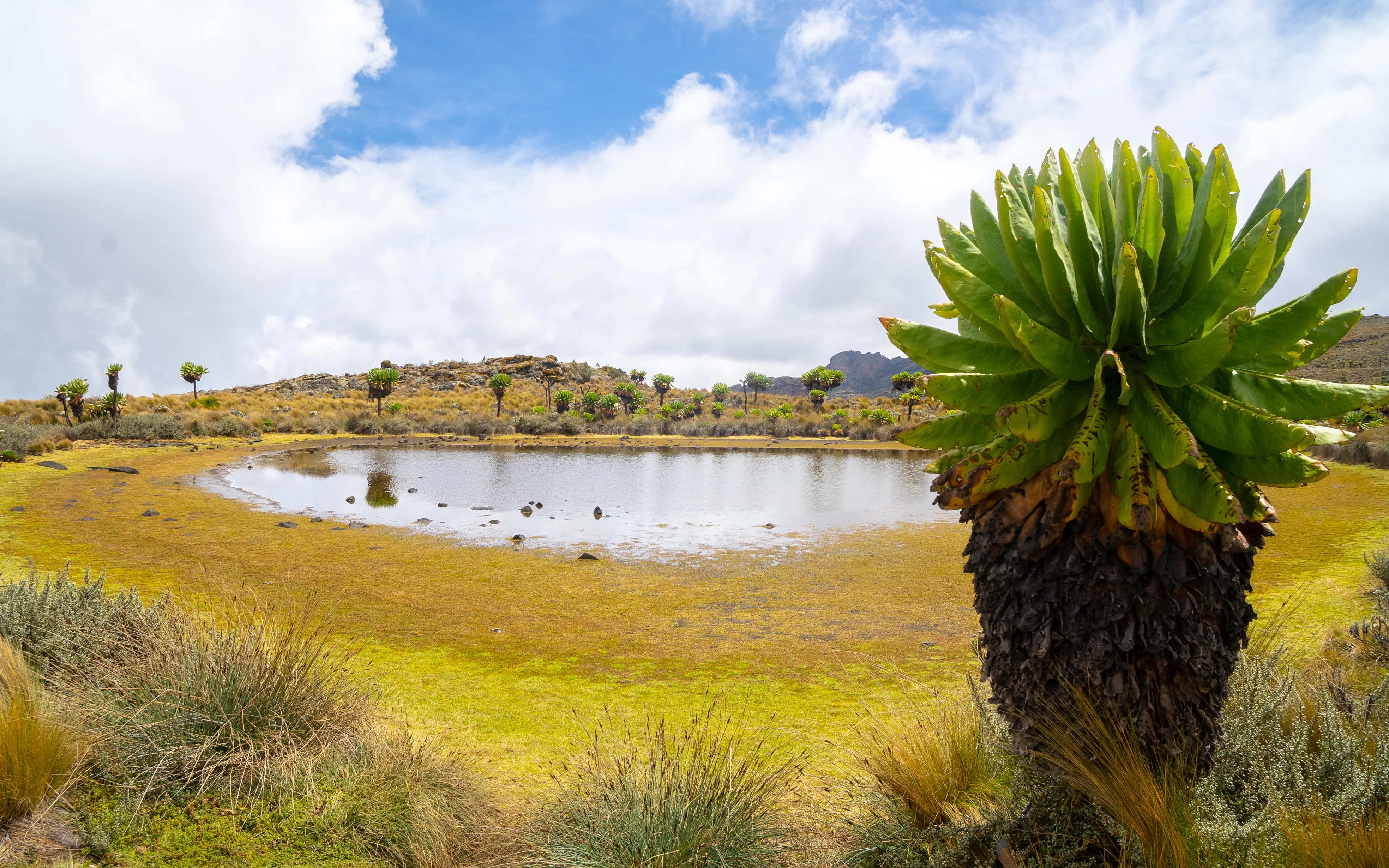 Mt Elgon National Park