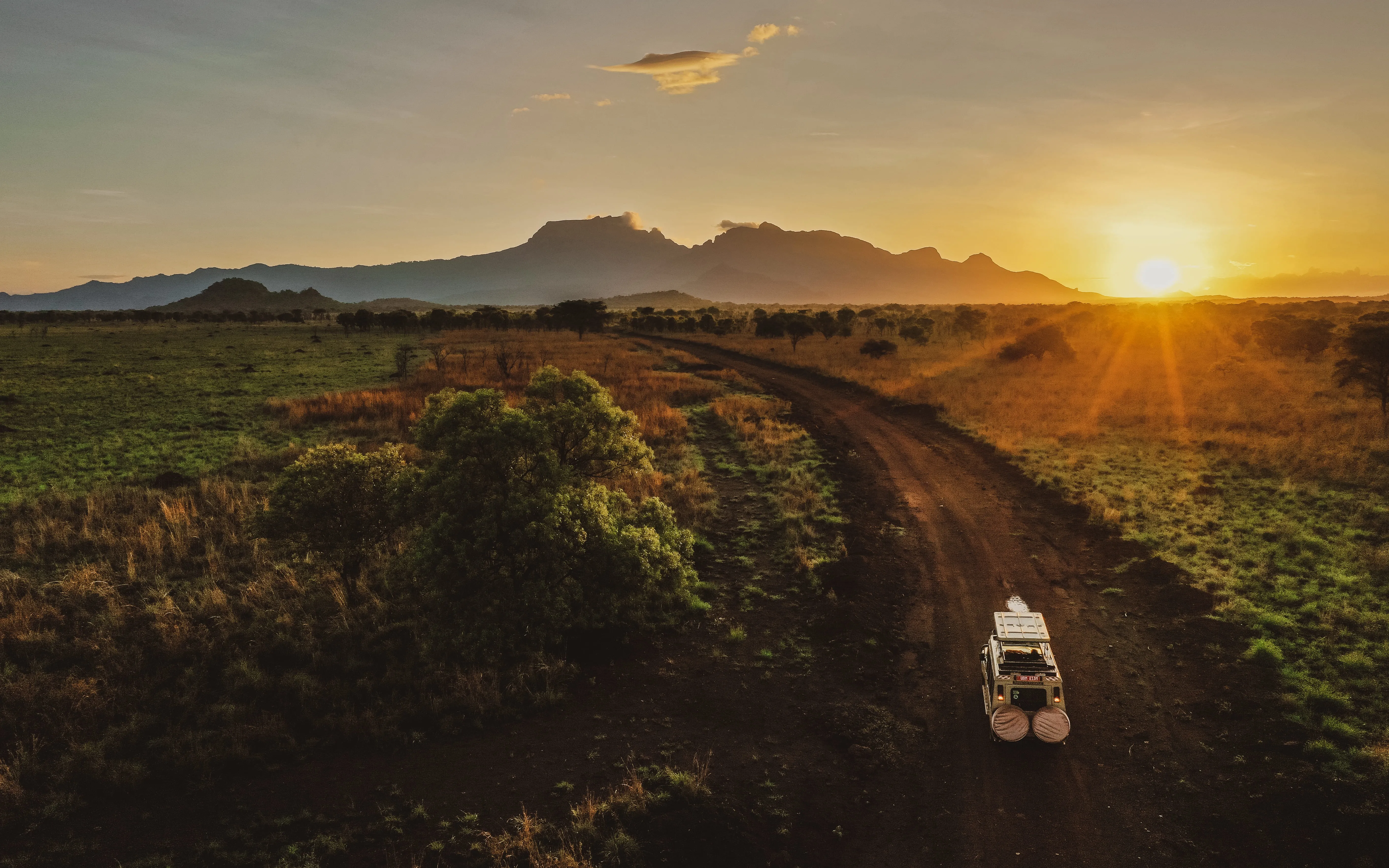 Big Five and Primates Safari in Uganda