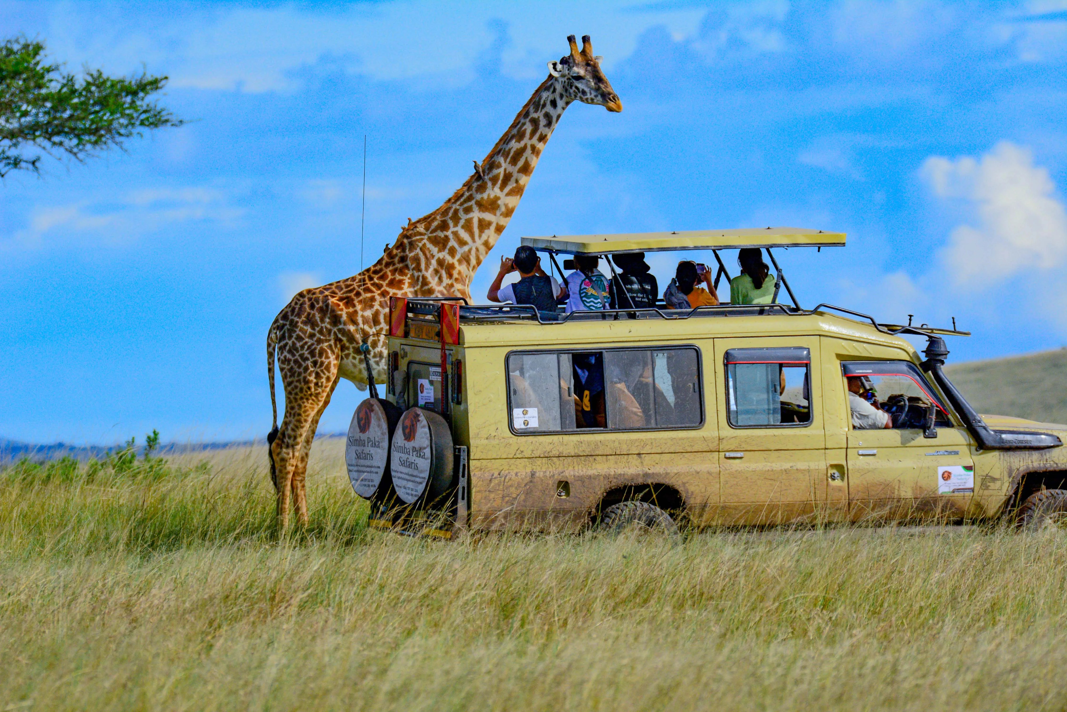 Kenya Big Five and Diani Beach safari