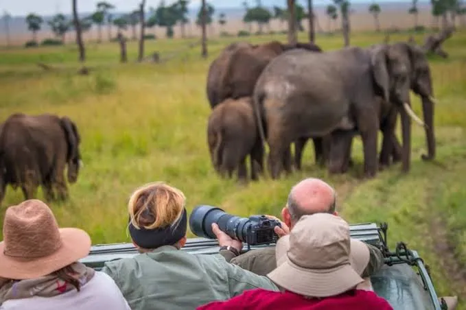 Ultimate Kenya wildlife safari