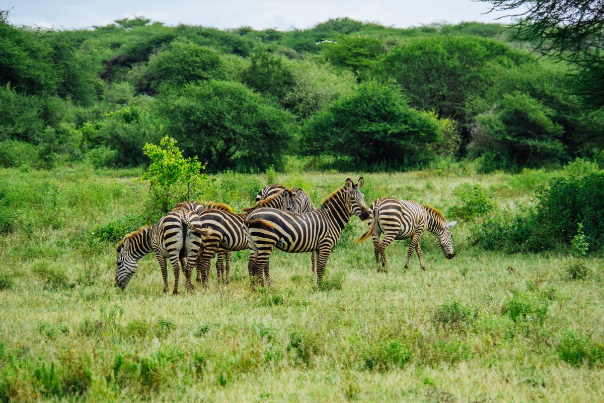 Kidepo Valley National Park Uganda