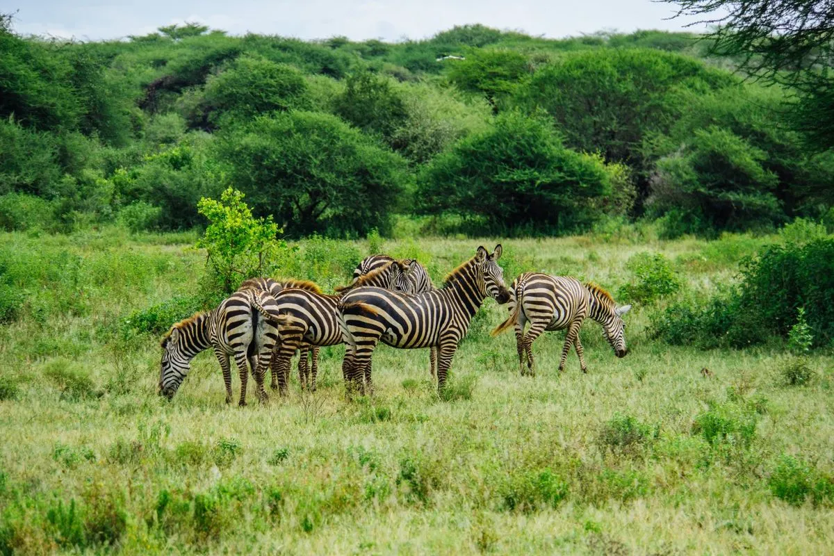 Kidepo Valley National Park Uganda