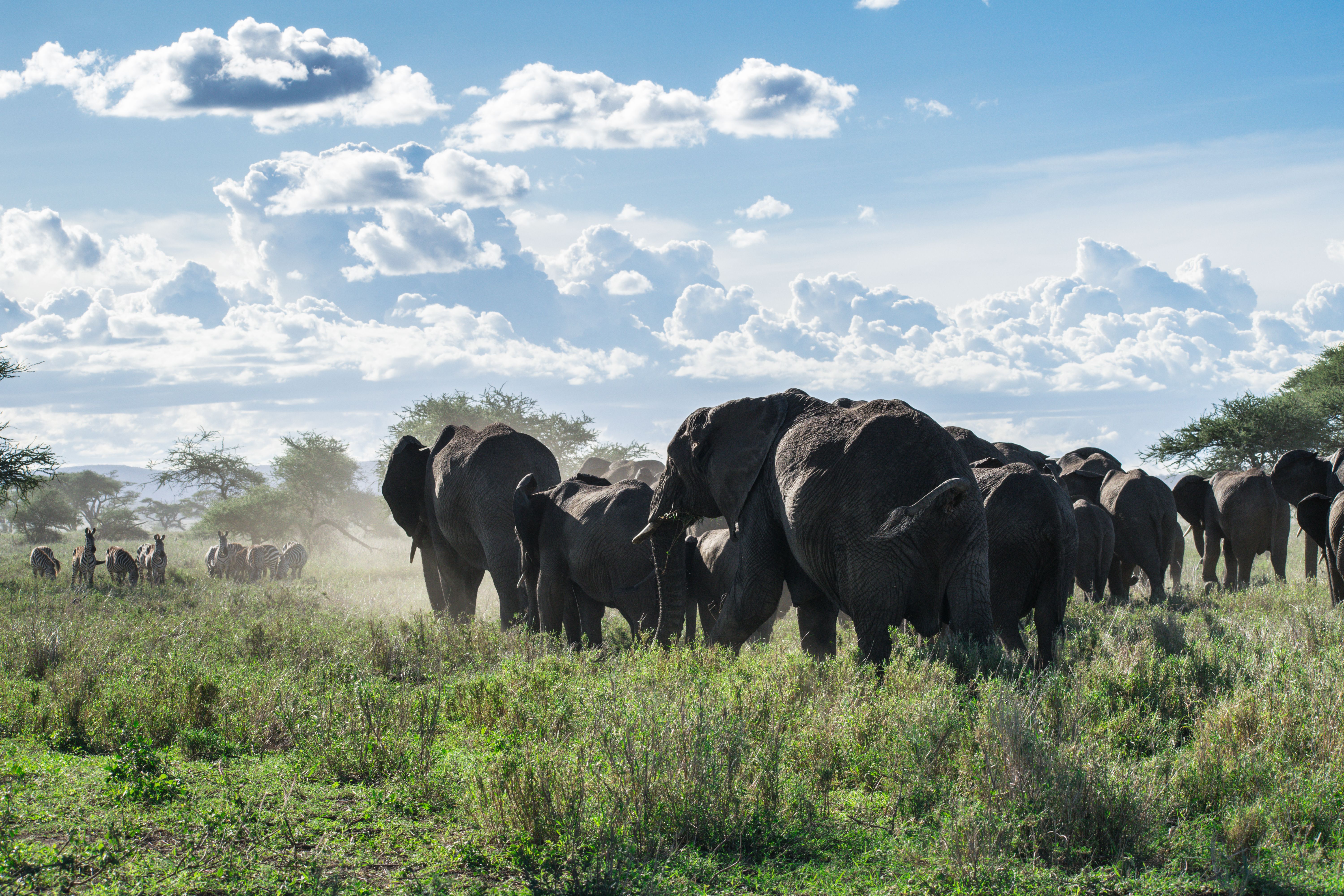 Safari experience with Narina Safaris